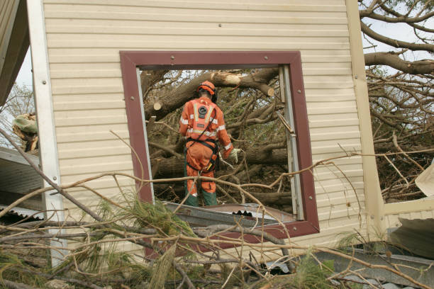 Best Tree Disease Treatment  in Osseo, WI